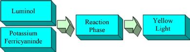 Chemiluminescent reaction on oxidation of Luminol. | Download ... 