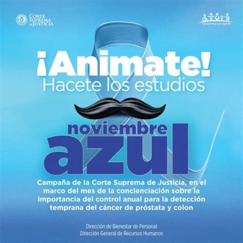 Csj Se Adhiere A La Campa A Noviembre Azul Noticias Poder Judicial