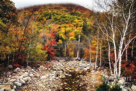 Foggy Mountain With Fall Foliage Photograph By George Oze Pixels