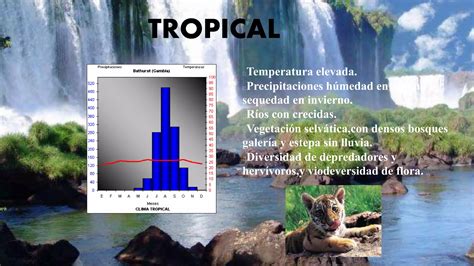 Tipos De Climas Y Paisajes PPT Descarga Gratuita