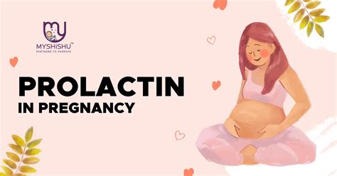 Prolactin In Pregnancy: A Comprehensive Guide - MyShishu