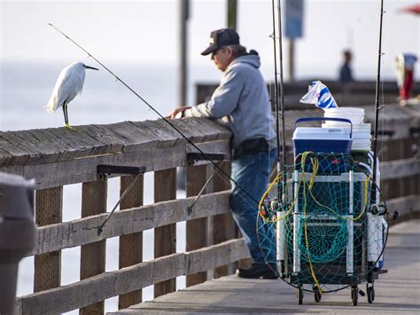 Newport Beach Balboa Pier Fishing Report All About Fishing