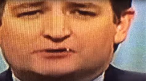 Did Ted Cruz Eat A Booger On Live Tv San Antonio San Antonio Current