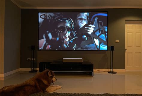 In Stock Xy Screen Projector Screen Pet