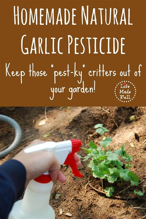 Organic Pest Control Natural Pest Control Garden Pest Control Garden