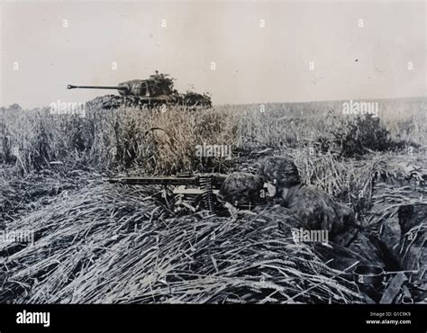 German Waffen SS of the 12th SS Panzer Division in Normandy 1944 Stock ...