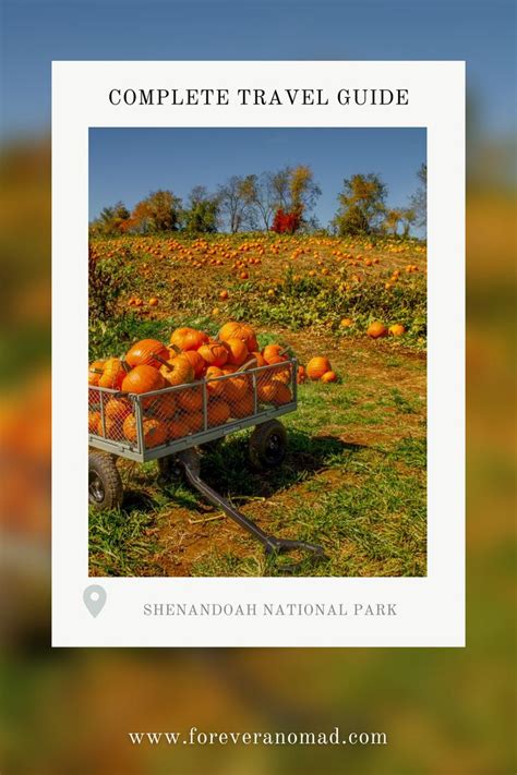 Complete Guide To Shenandoah National Park In The Autumn Shenandoah