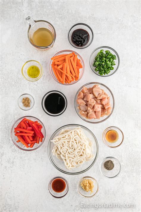 Hoisin Sauce Noodles with Chicken - Eating on a Dime