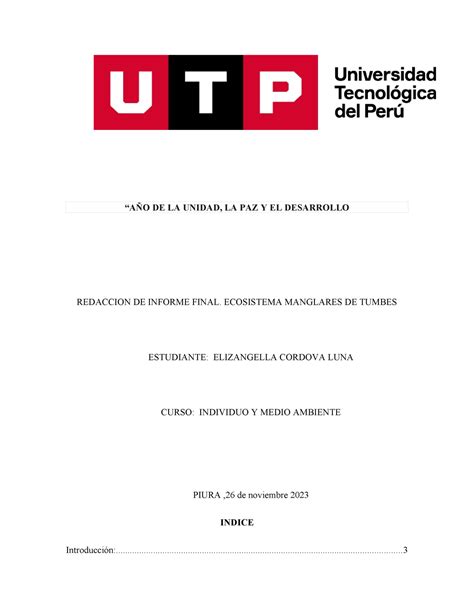 Borrador DEL Informe Final Individuo Y Medio Ambiente AÑO DE LA