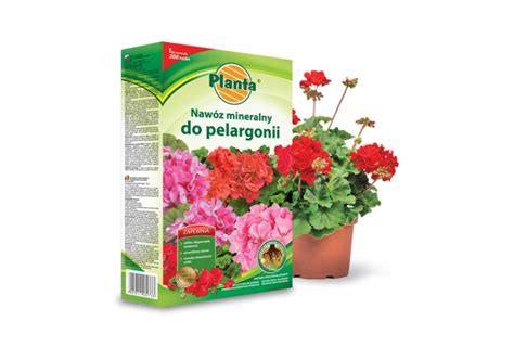 Nawóz Planta do pelargonii 1kg 1 Cena Opinie Nawozy 10567385606