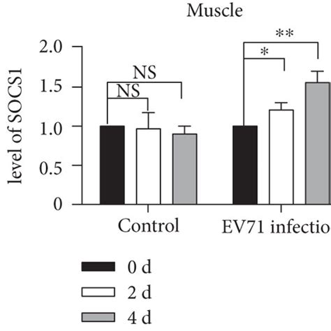 Ev71 Infection Activates Socs Expression Through The Nf κb Pathway And