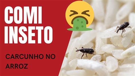 Caruncho No Arroz Faz Mal Como Surge Como Evitar Caruncho Caruncho