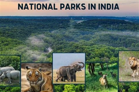 National Parks Of India Examrewards