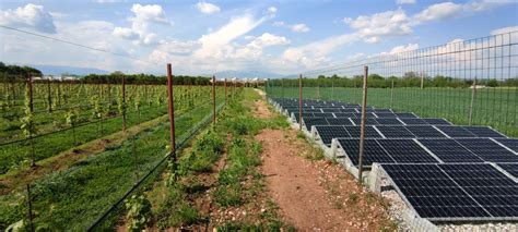 Irrigazione A Goccia Fotovoltaica In Vigneto Irrigazione Veneta