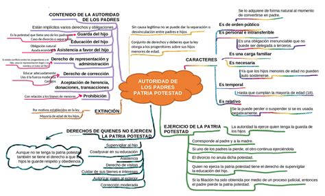 Arriba 42 Imagen Mapa Mental Diencefalo Abzlocalmx