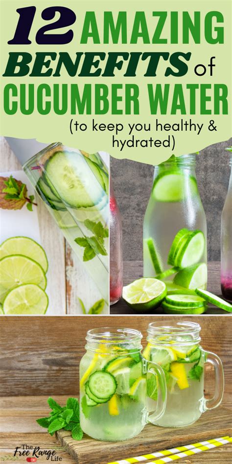 Benefits of cucumber water – Artofit