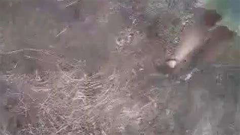 Walking Around Naked Video 1 Porn Videos