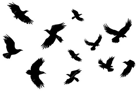 Premium Vector Flying Birds Silhouettes Vector Illustration White