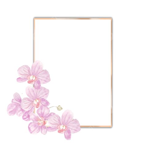 Purple Orchid Png Picture Gold Frame With Purple Orchid Watercolor