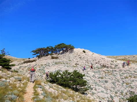 Dinarisches Gebirge Krk Baska Vela Draga Bergfex Wanderung