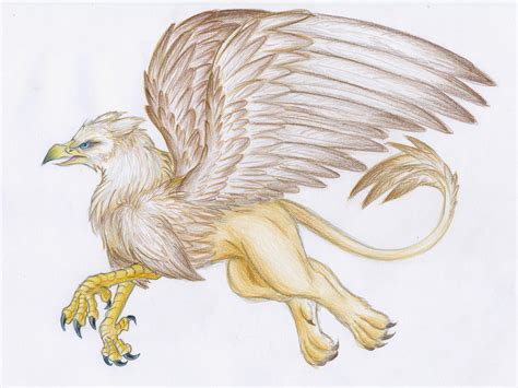 Gryphon by Lintufriikki by mythical-creatures on DeviantArt