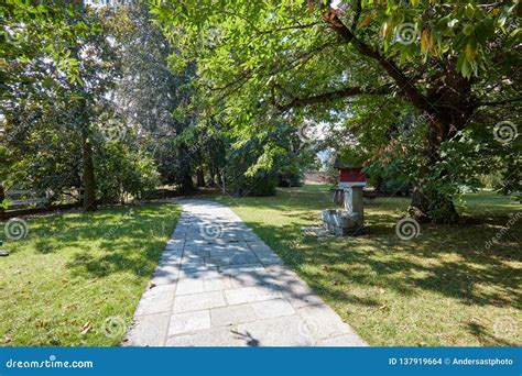 Tiled Path Curve In Park Forest Bench Resort Area Stock Image