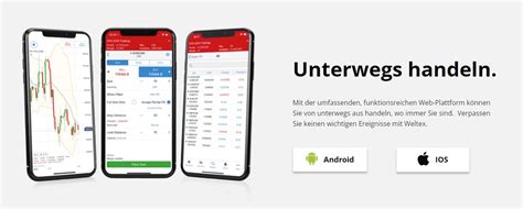 Weltex Bewertung – Eine Prominente Online-Handelsplattform