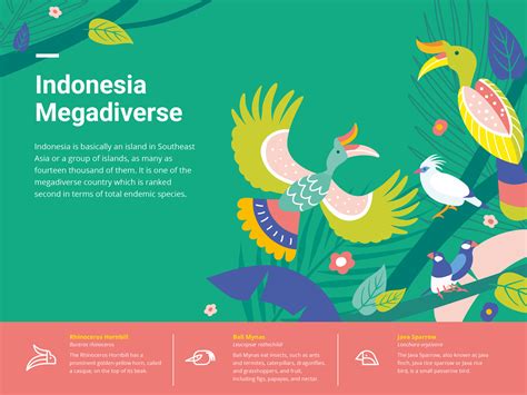 Indonesia Megadiverse Birds By Rony Setiyawan On Dribbble