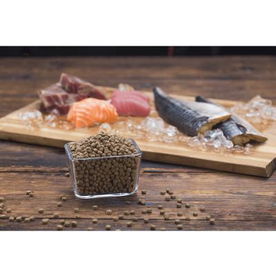 Kakato Cat Dry Food (Venison*Ocean Fish) - Honey Pet Shop