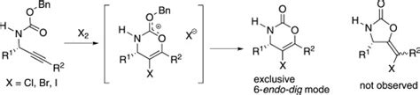 Synthesis Of Densely Functionalised 5Halogen1 3oxazin2ones By