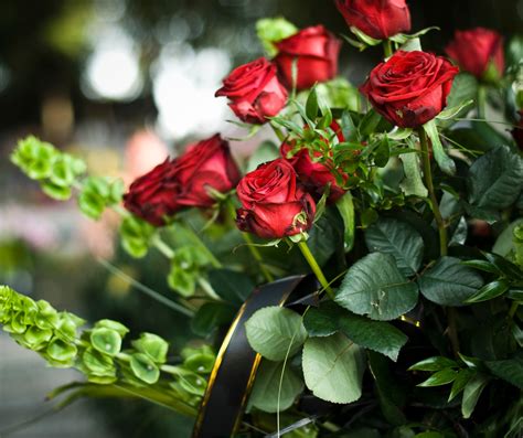 Poteet funeral home augusta ga serves families with deep respect 11