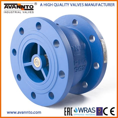 Good Product Ductile Iron Flanged Silent Check Valve Pn Pn China