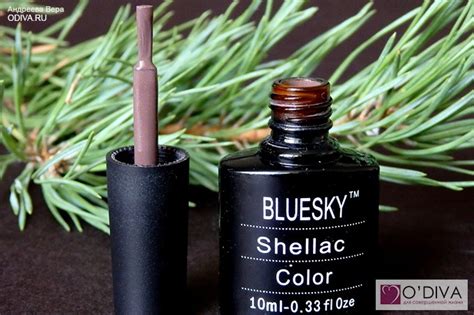 Модный маникюр осень 2014: обзор дизайна ногтей с фото осень-зима 2014