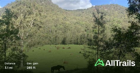 Glenworth Valley Scenic Walking Trail New South Wales Australia 15