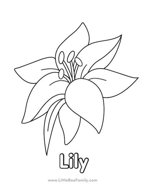 Lily Coloring Page