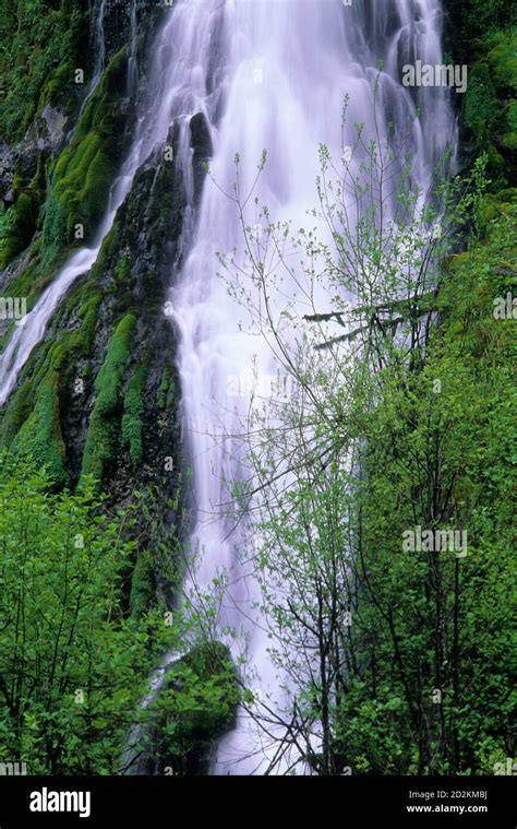 Dorothy Creek Falls With North Umpqua River Along North Umpqua Trail