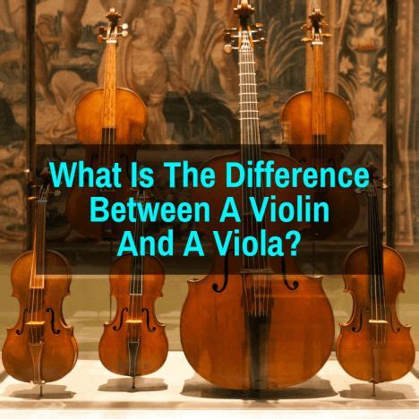 Four Violin S With The Words What Is The Difference Between A Violin