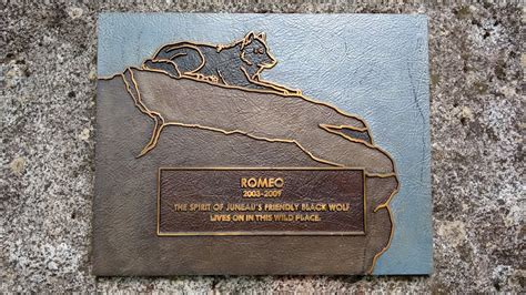 Read The Plaque Romeo