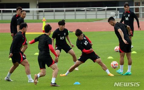 축구대표팀 부산서 소집훈련 네이트 스포츠