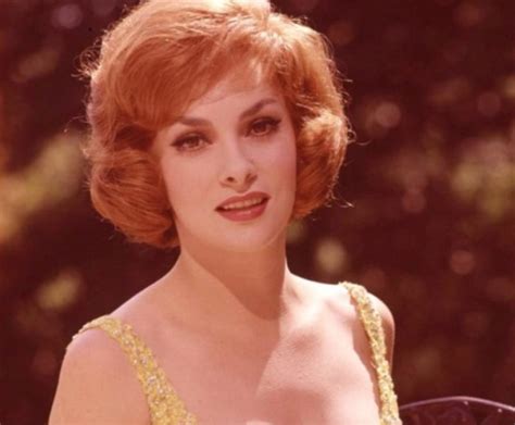 Il Nipote Di Gina Lollobrigida Ha Fatto Parlare Di S Si Trasformato