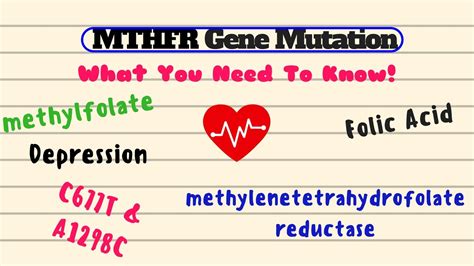 Mthfr Gene Mutation What You Need To Know Youtube