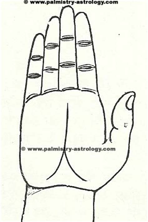 Branches in Fate line on palm | fate line palmistry predictions ...