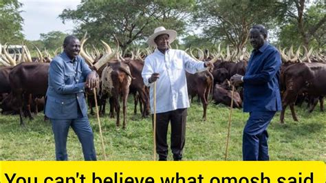 Raila Amolo Odinga William Ruto Na Museveni Walionekana Na Ng Ombe