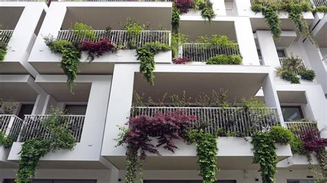 Pn Cza Na Balkon Jednoroczne Wieloletnie Szybko Rosn Ce G Ste