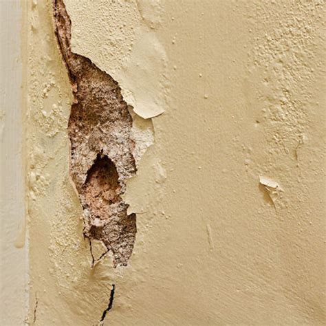 Crumbling Plaster Basement Walls Wall Design Ideas