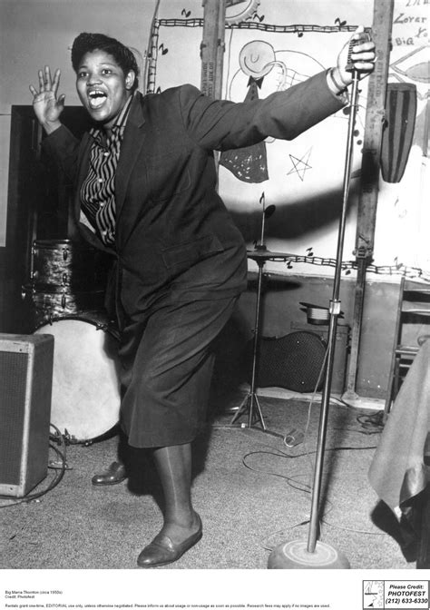 Una Pizca De Cine Música Historia Y Arte Big Mama Thornton Elvis