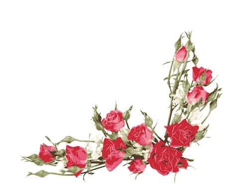 Rose Flower bouquet Clip art - Red Rose Border png download - 1753*1445 ...