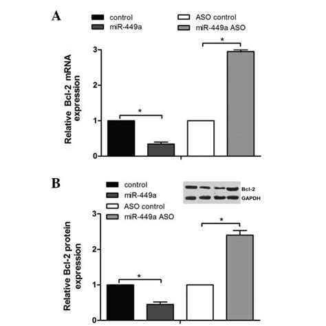 Identification Of The Differential Expression Of Mir A In Gastric