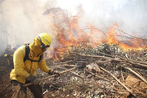 Sanciones Más Duras Para Quienes Provocan Incendios