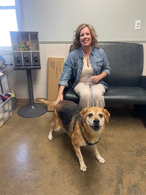 Coles County Animal Shelter | Charleston IL